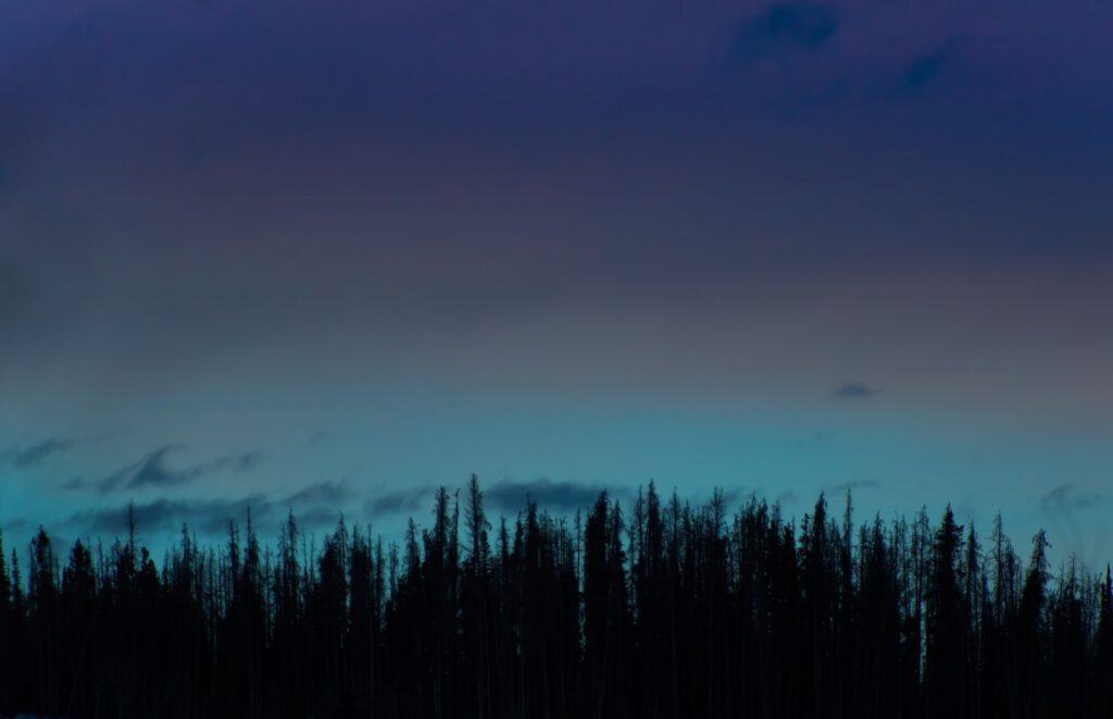 Utility Dive: There is a place for natural gas on a zero-carbon grid: EPRI