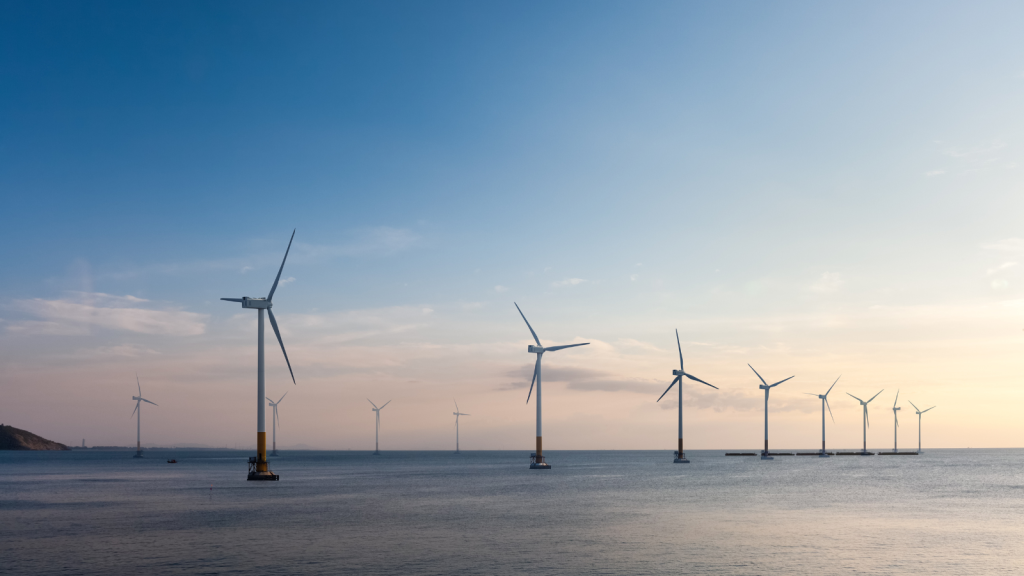 Natural Allies Statement on the Halting of Construction of Revolution Wind