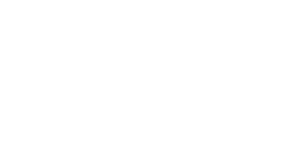 The Albany Black Chamber of Commerce, Inc.