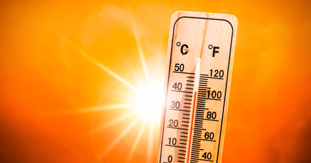 Natural Allies Statement on Energy Infrastructure Amid Dangerous Nationwide Heat Wave